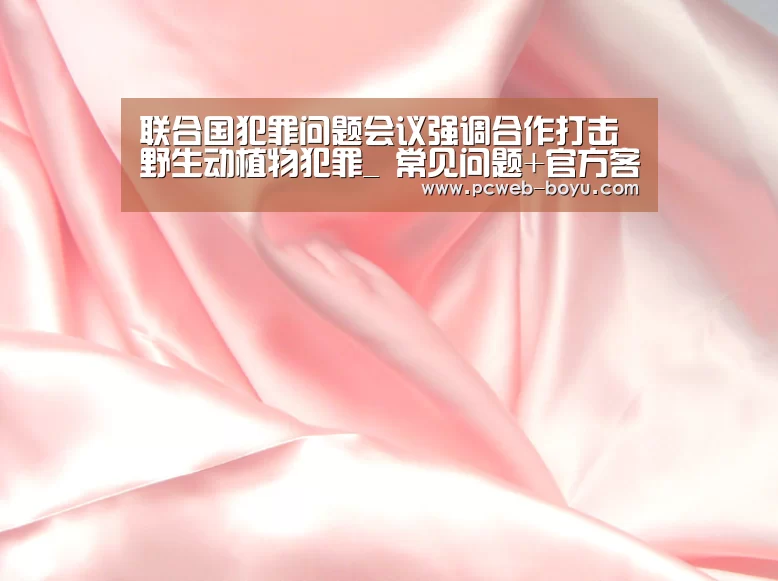 博鱼体育帮助中心 