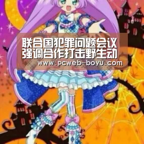  常见问题+官方客服支持