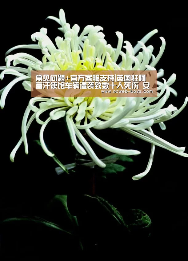 常见问题+官方客服支持|英国驻阿富汗使馆车辆遭袭致数十人死伤 安理会严厉谴责(图2) 常见问题+官方客服支持