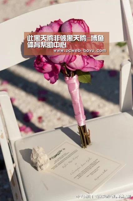 此黑天鹅非彼黑天鹅-博鱼体育帮助中心 (图2) 博鱼体育帮助中心