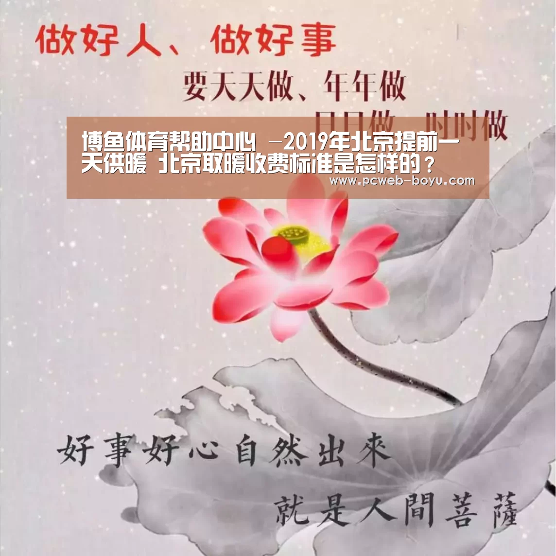  常见问题+官方客服支持